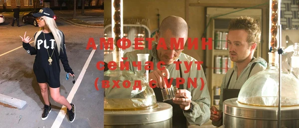 крисы Алексин